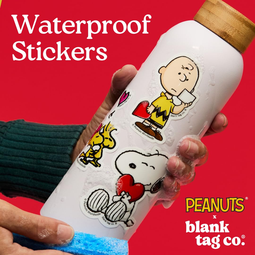 Amazon.com: Peanuts® (Snoopy) Heartfelt 3-Pack Sticker Bundle